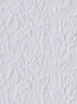 avalanch background04